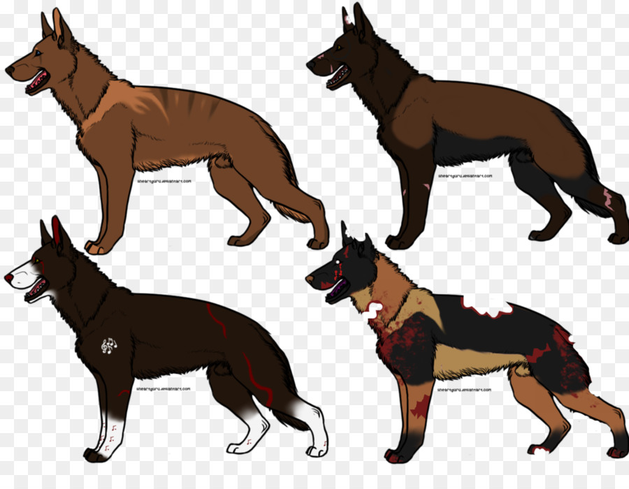 สุนัขพันธุ์，ออสเตรเลีย Kelpie PNG