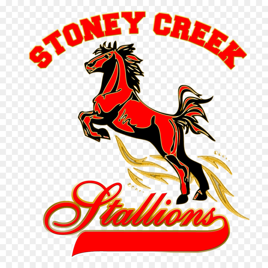 โลโก้ Stoney Creek Stallions，Stoney Creek PNG