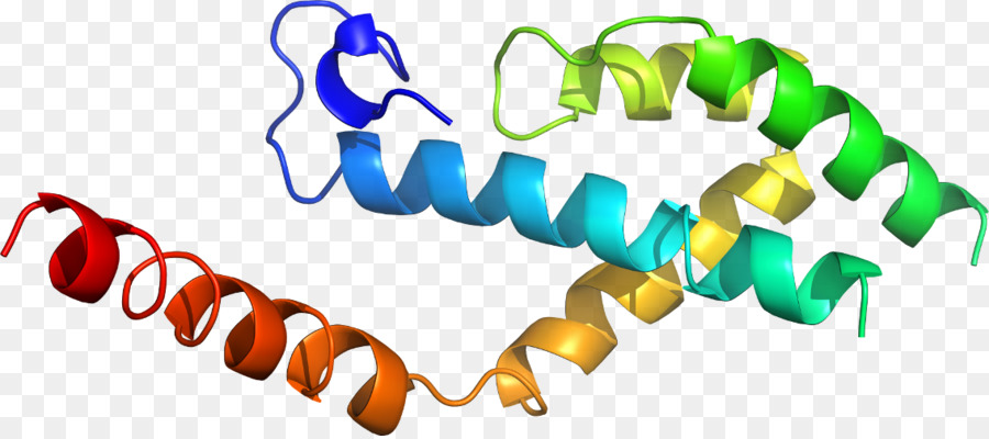 เกลียวโปรตีน，โมเลกุล PNG