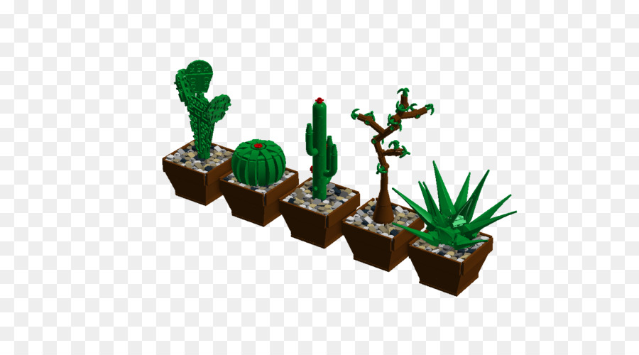 Cactaceae，Lego ความคิด PNG