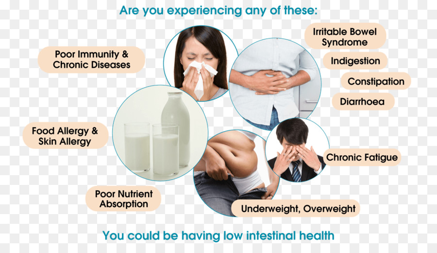 Irritable งเกิดในช่องท้อนโร，โป รไบ โอ ติก PNG