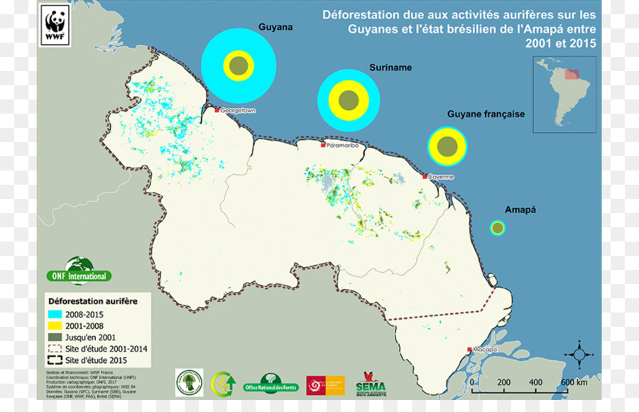 Guiana เกราะ，อเมซอน Rainforest PNG