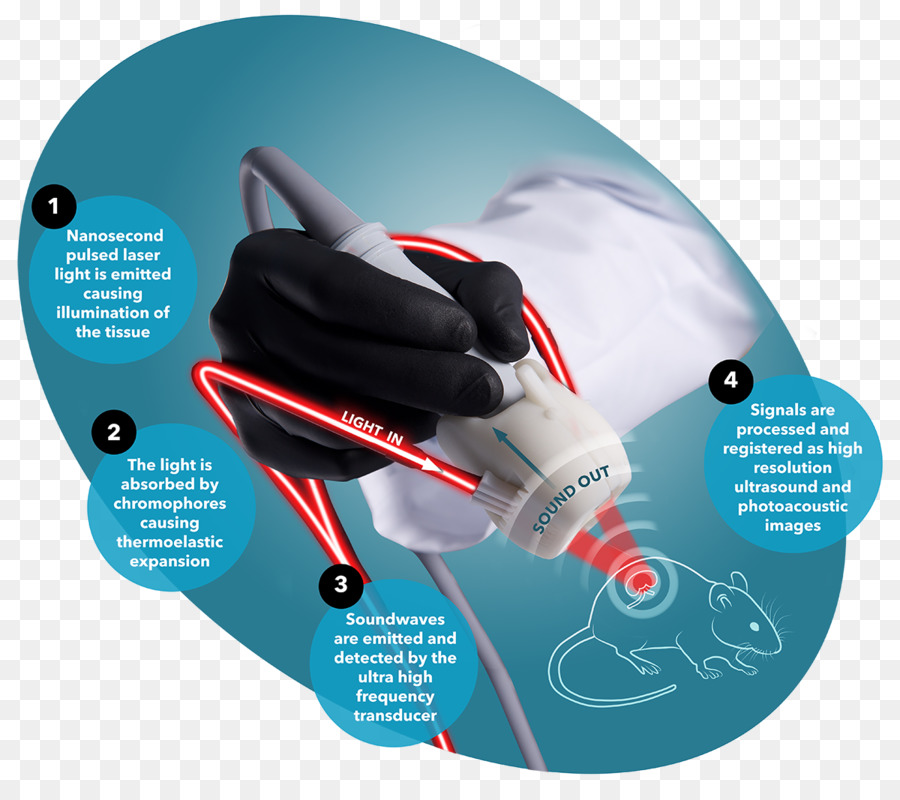 Photoacoustic การถ่ายภาพ，Visualsonics PNG