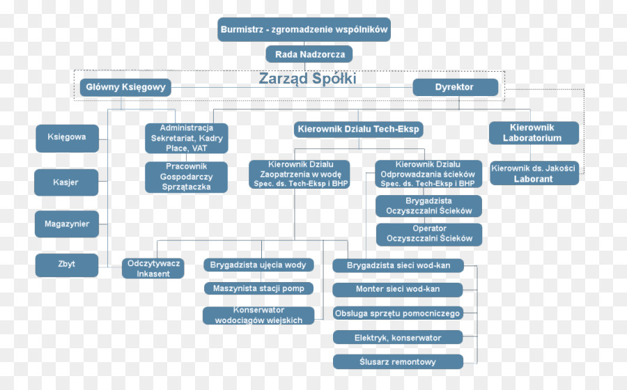 Organizational โครงสร้าง，องค์กร PNG