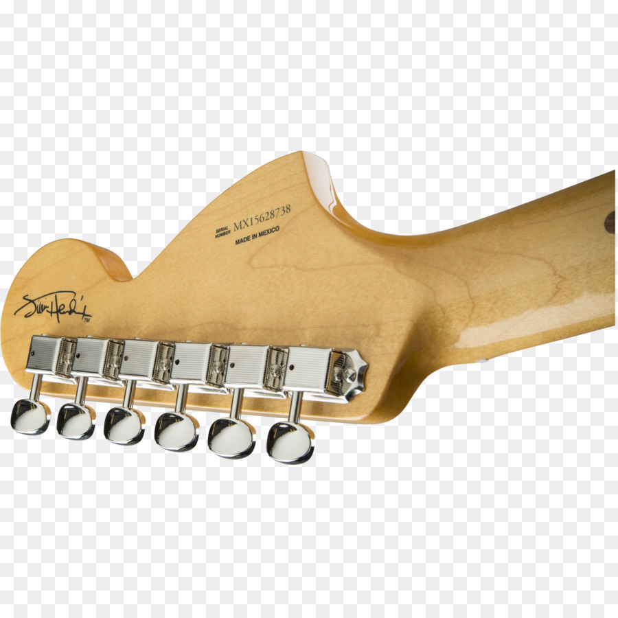 กีตาร์ไฟฟ้า，พิทักษ์ Stratocaster PNG