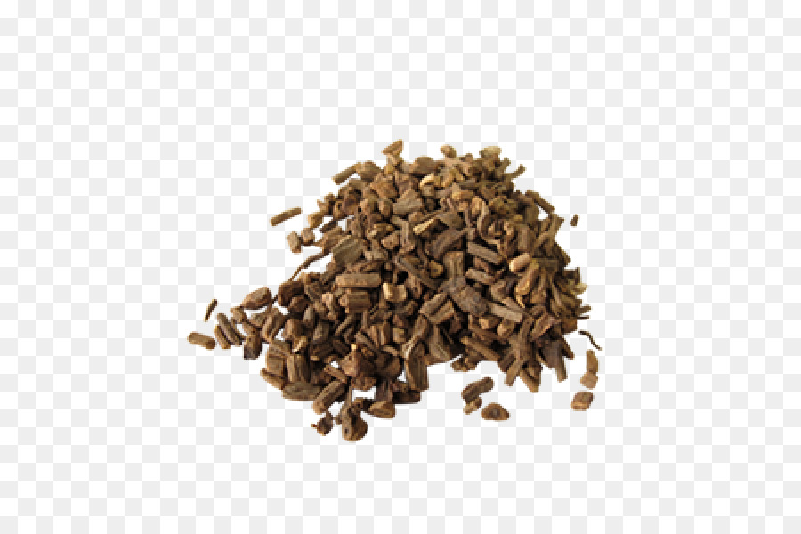 สืบ，Officinalis PNG