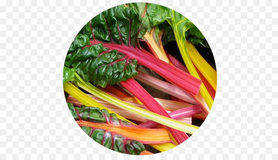 Rainbow Chard，ออกจาก PNG