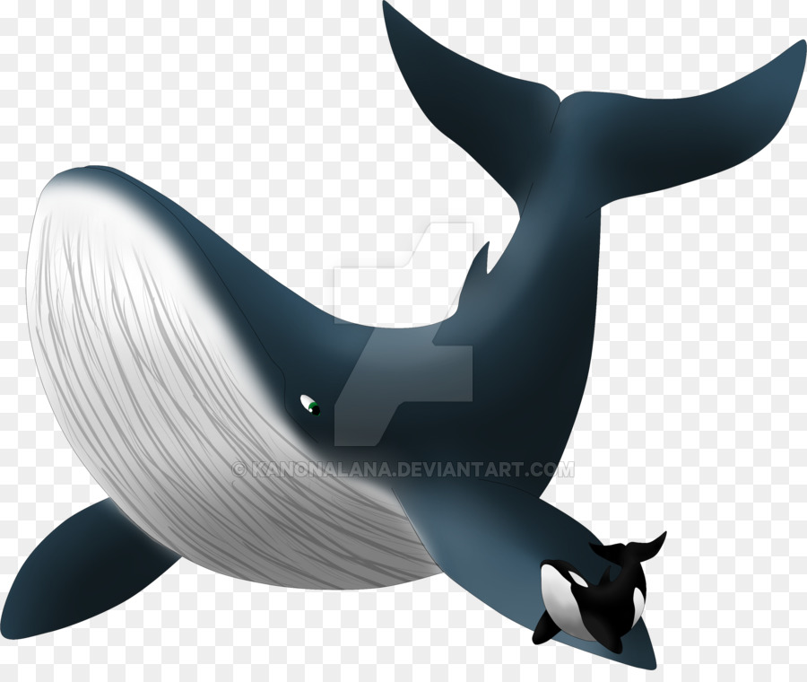 มุมมองของดอลฟิน，ฆาตรกรวาฬ PNG