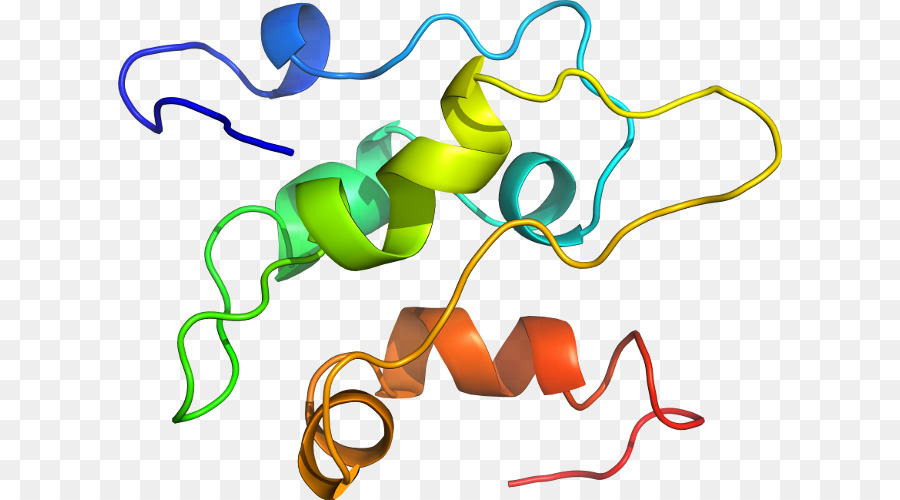 เกลียวโปรตีน，โมเลกุล PNG
