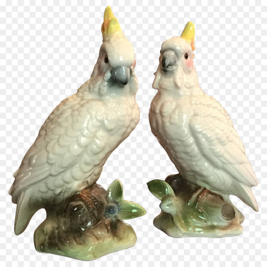 Cockatoos，นก PNG