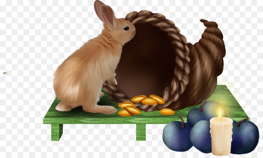 กระต่ายในประเทศ，กระต่ายวันอีสเตอร์ PNG