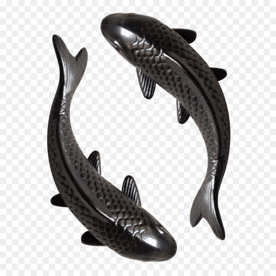 ก้อย，ปลาคาพ PNG