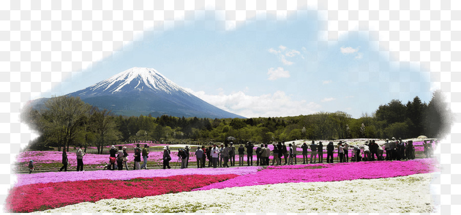 เมานท์ Fuji，ทะเลสาบ Kawaguchi PNG