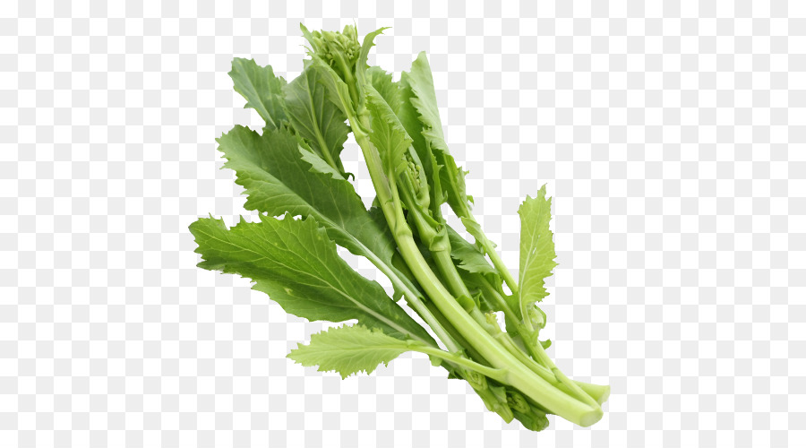 Broccoletto，ผักชี PNG