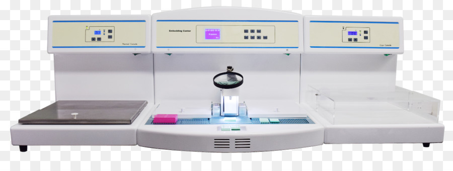 Histology，เนื้อเยื่อ PNG