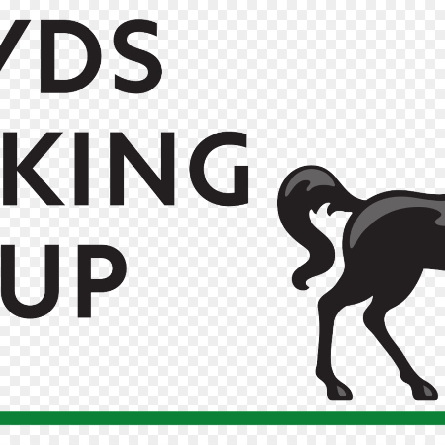 Lloyds ธนาคาร，ธนาคาร PNG