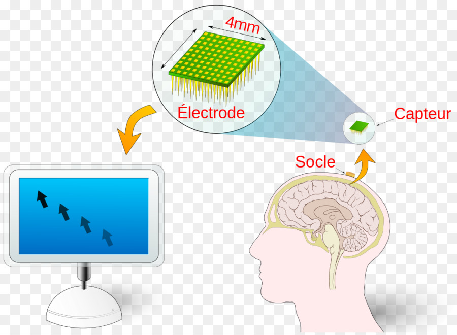 Braincomputer ส่วนติดต่อ，เทคโนโลยี PNG