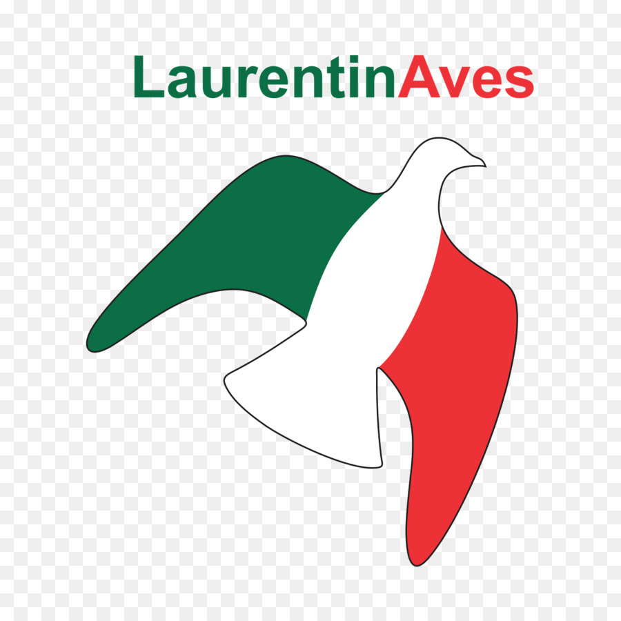 Laurentino，นก PNG