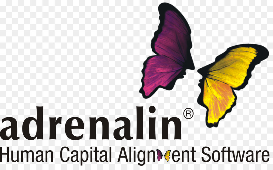 มนุษย์การจัดการทรัพยากรของระบบ，Adrenaline Esystems PNG