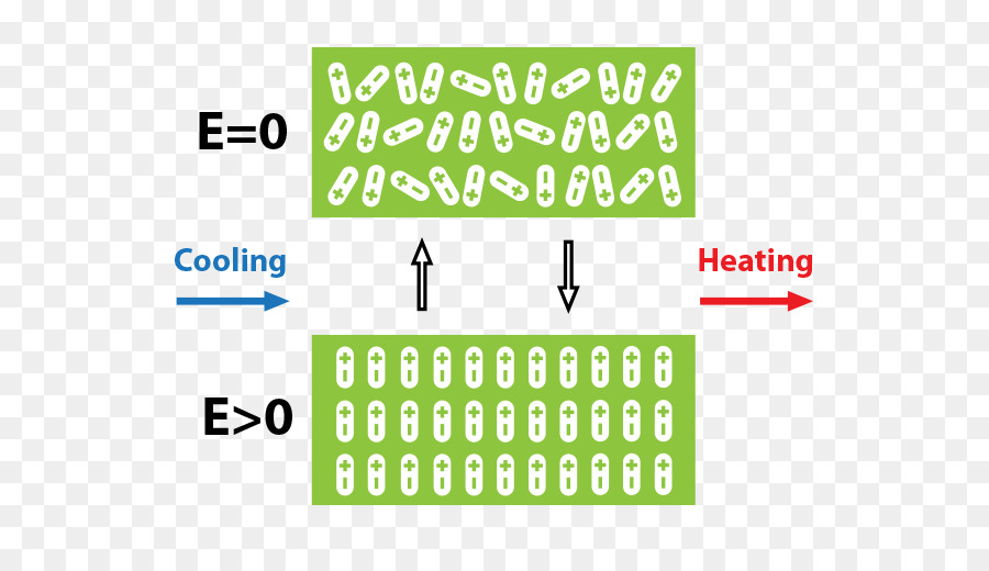 Electrocaloric ลูกเล่น，Ferroics PNG