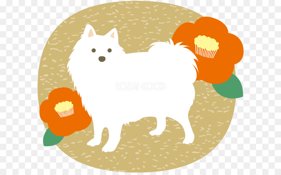 Pomeranian，เธอเลือกเสม PNG