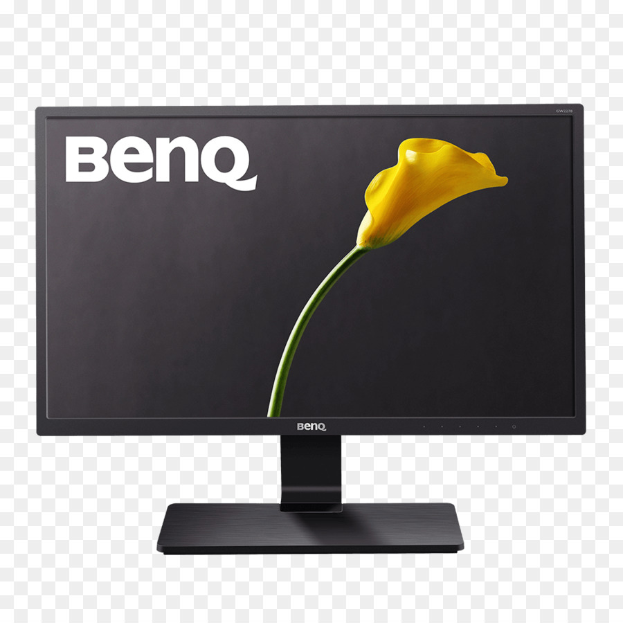 คอมพิวเตอร์จอภาพ，Benq PNG