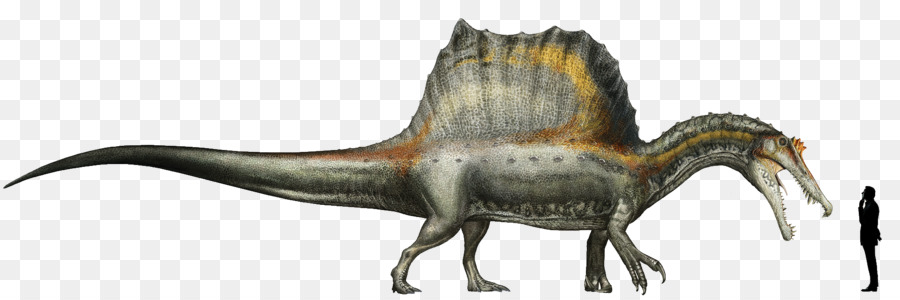 Spinosaurus，Giganotosaurus PNG