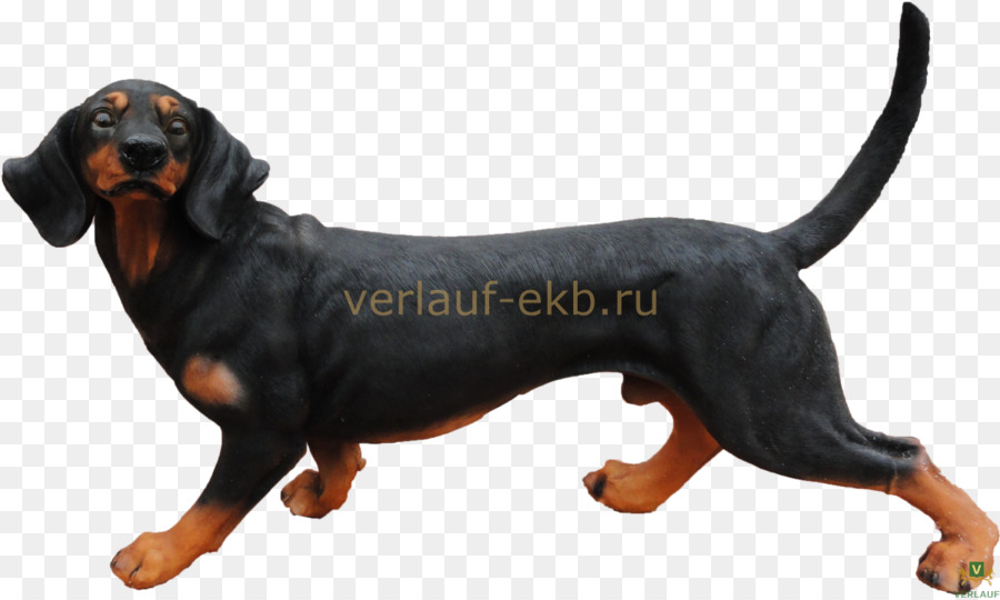 ภาษาอังกฤษ Mastiff，ภาษาอังกฤษ Cocker Spaniel PNG