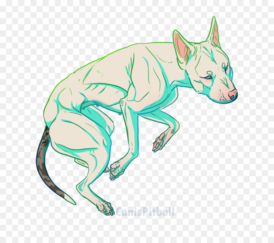 Canidae，วาด PNG