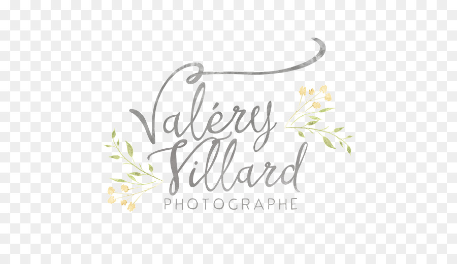 โลโก้valéry Villard，การถ่ายภาพ PNG