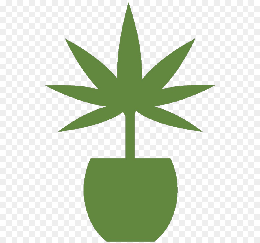 ทางการแพทย์ Cannabis，กัญชา PNG