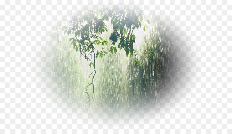 ฝนตก，มรสุม PNG