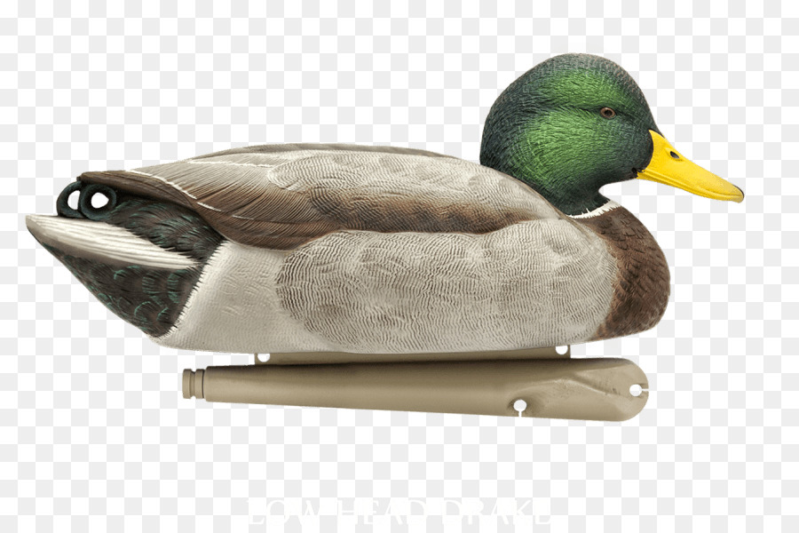 Duck Decoy，นก PNG