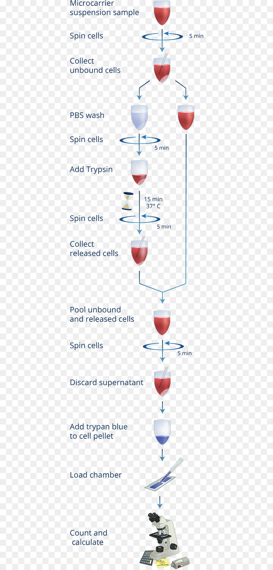 Microcarrier，Bioreactor PNG