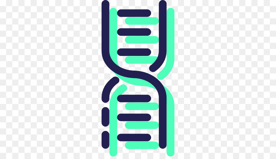 ดีเอ็นเอ，โครงสร้างโมเลกุลของ Nucleic Acids เป็นโครงสร้างของสำหรับ Deoxyribose Nucleic กรด PNG