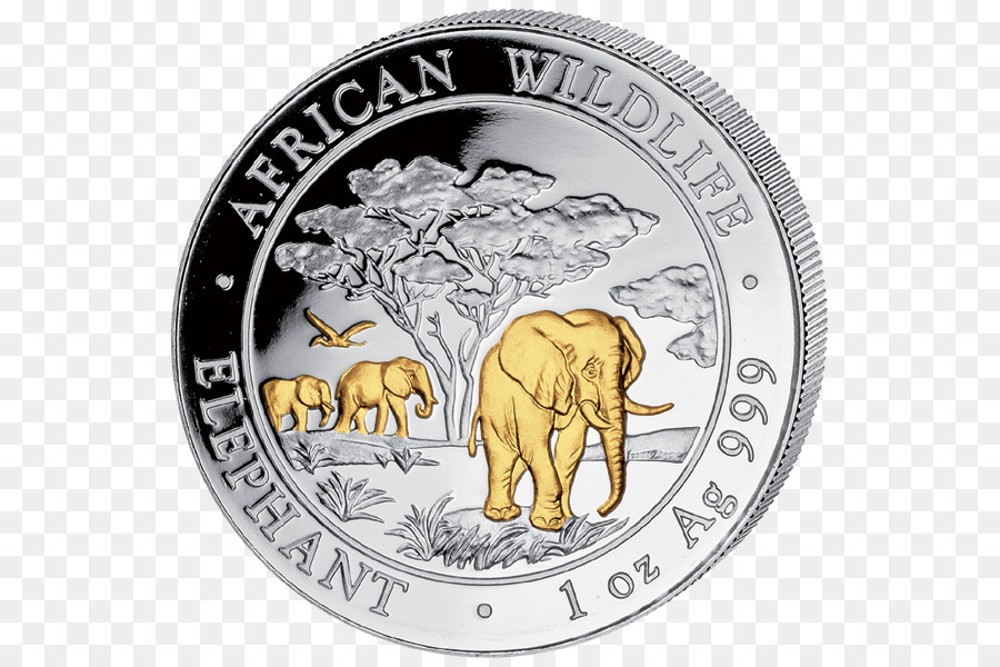 แอฟริกันช้าง，เหรียญ PNG