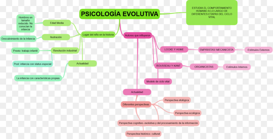 วิวัฒนาการจิตวิทยา，Behaviorism PNG