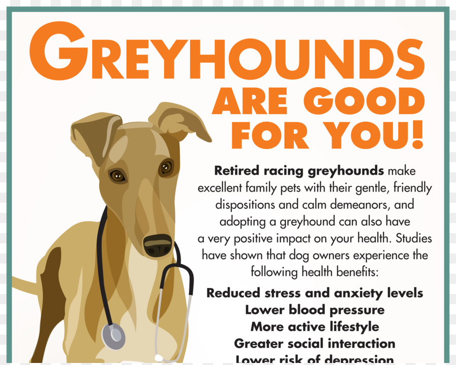 อิตาเลี่ยน Greyhound，Whippet PNG