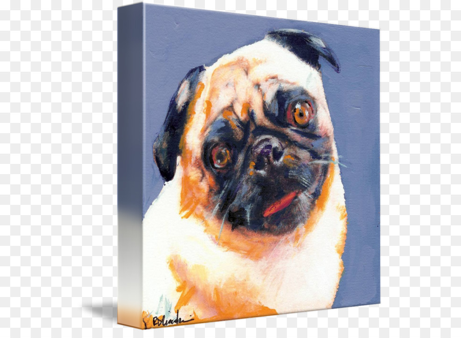 Pug，ลูกชาย PNG