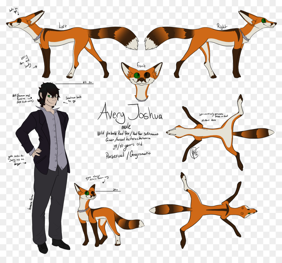 Canidae，อร์ลายกวางเรนเดียร์ PNG