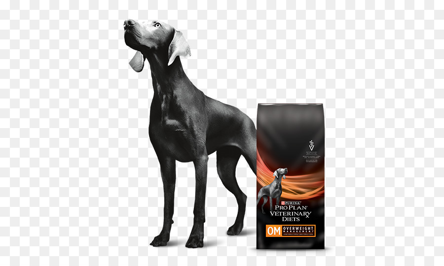 Weimaraner，Nestlé Purina Petcare องบริษัท PNG