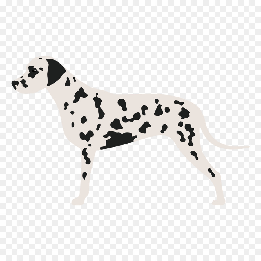 Dalmatian หมา，สุนัขพันธุ์ PNG
