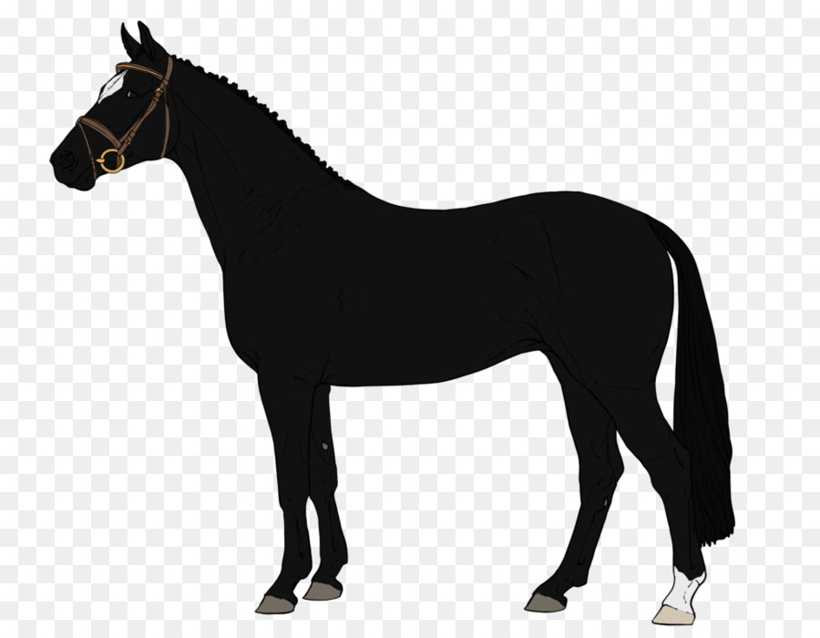 ม้าอาหรับม้า，อเมริกันตุ๊กตาจำลอม้า PNG