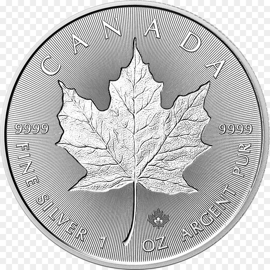 แคนาดาเงินไซใบไม้ติ，ไซใบไม้ติ PNG