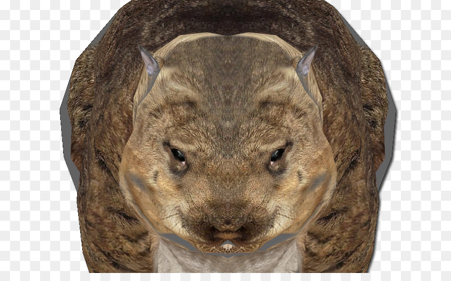 Wombat，หนู PNG