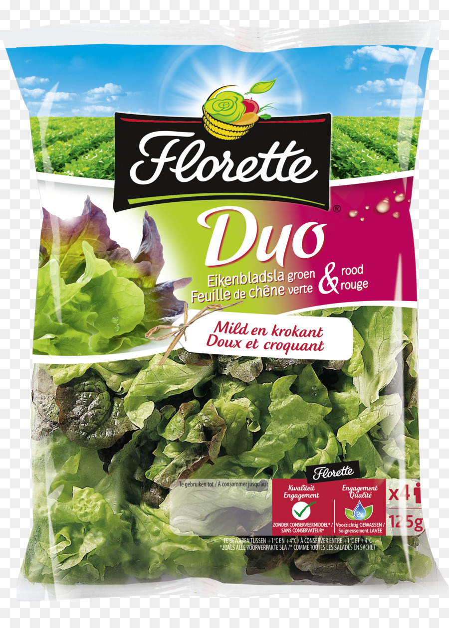 Romaine ผักกาดหอม，Eikenbladsla PNG