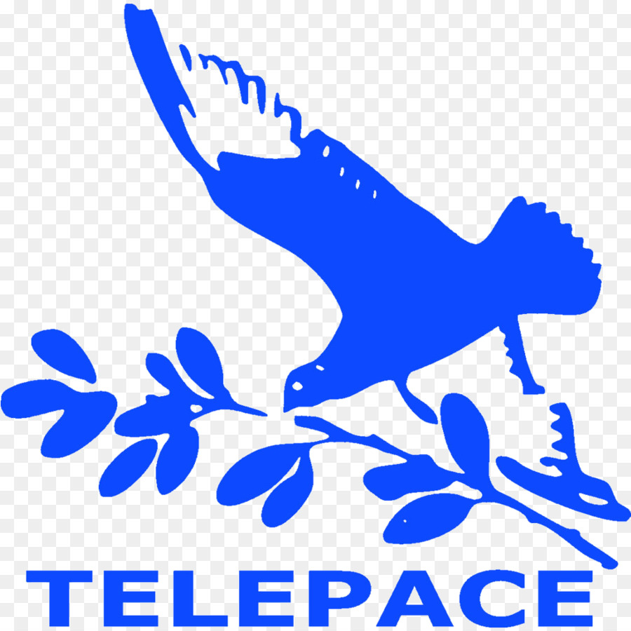 Telepace，โทรทัศน์ PNG