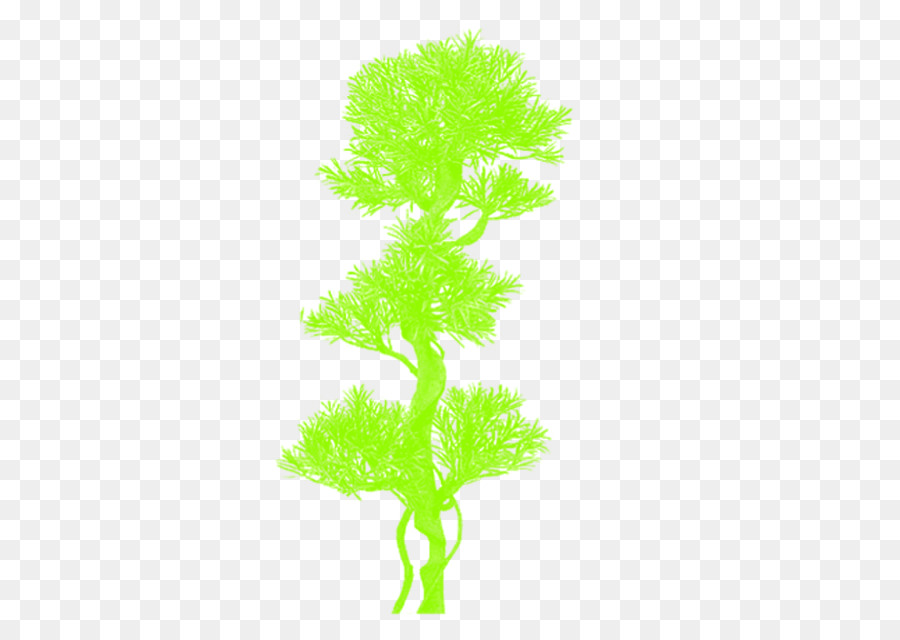 ต้นไม้，ต้นไม้ห้าม PNG