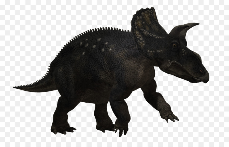 ไดโนเสาร์，Triceratops PNG