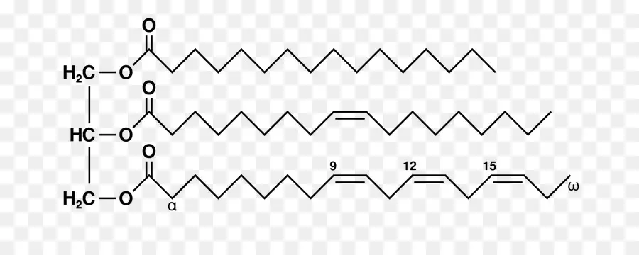 กรด Linolenic，โครงสร้าง PNG